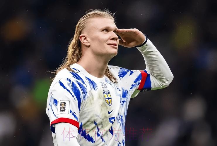 世界杯法国哈兰德焦点对决深度解读 世界杯法国哈兰德焦点对决深度解读